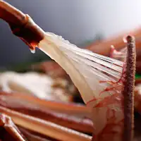 活ガニのお刺身例