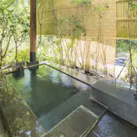 ห้องพิเศษพร้อมอ่างอาบน้ำกลางแจ้ง (หิน) 'Yamazakura'