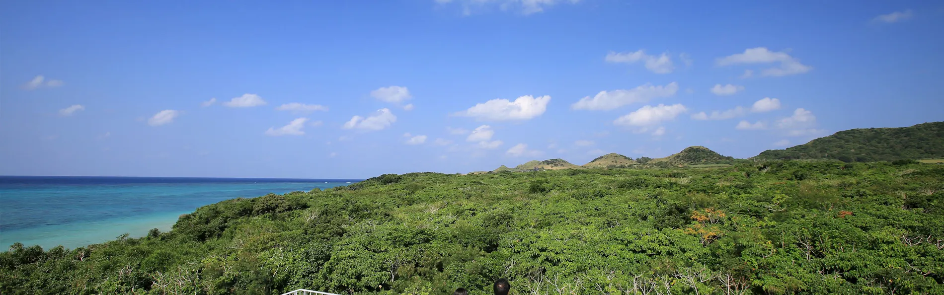 Seven Colors 石垣島