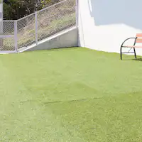 ドッグラン(人工芝)