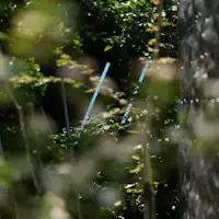สวน|ทิวทัศน์ที่แสงและความเขียวขจีมาบรรจบกัน