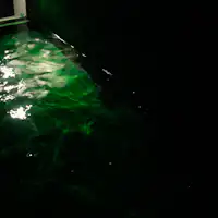 อ่างอาบน้ำส่วนตัว|สีเขียวไหวระริกบนผิวน้ำ