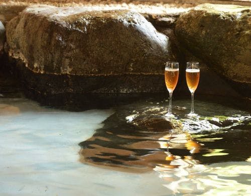 庭園風呂付き、部屋食　離れ　Suite room