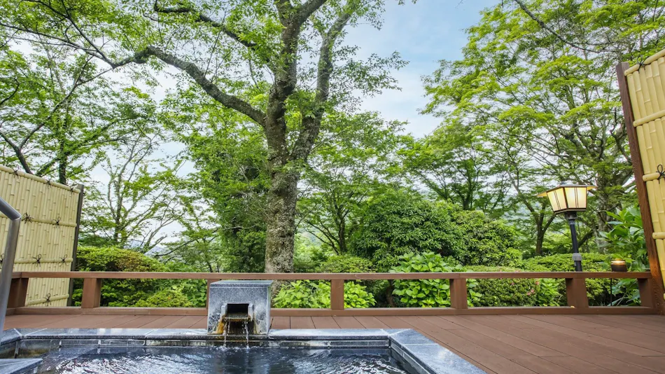 Hakone Kowakien Mikawaya Ryokan