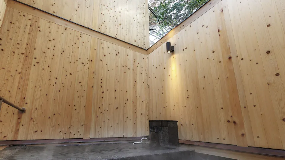 Hakone Kowakien Mikawaya Ryokan