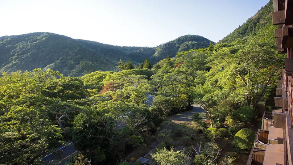 Hakone Kowakien Mikawaya Ryokan
