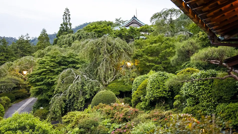 Hakone Kowakien Mikawaya Ryokan