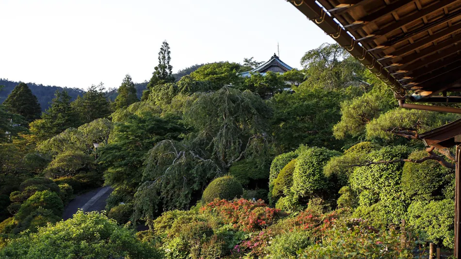 Hakone Kowakien Mikawaya Ryokan