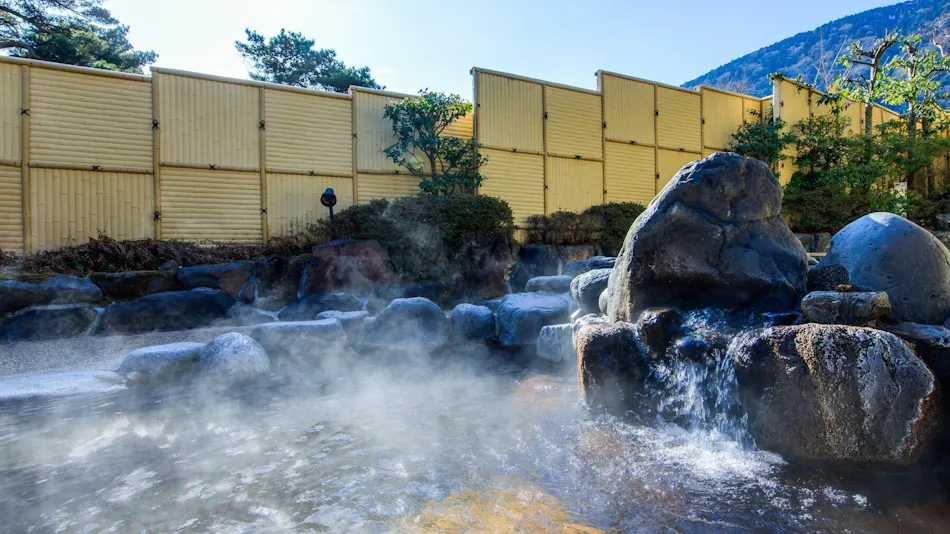 Hakone Kowakien Mikawaya Ryokan