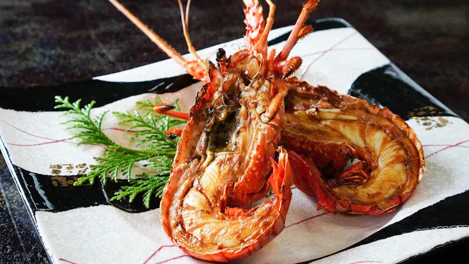 Onoso, an Accommodation Specializing in Spiny Lobster and Abalone