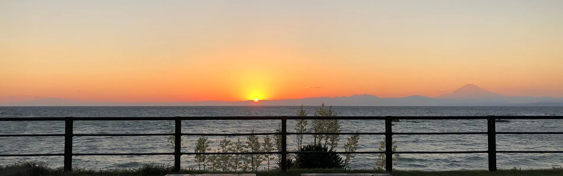 The Canvas Hayama Park