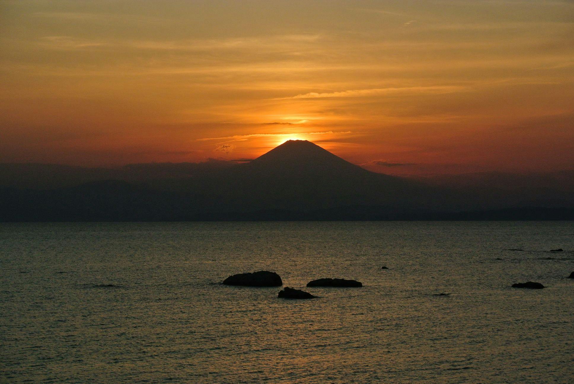 The Canvas Hayama Park