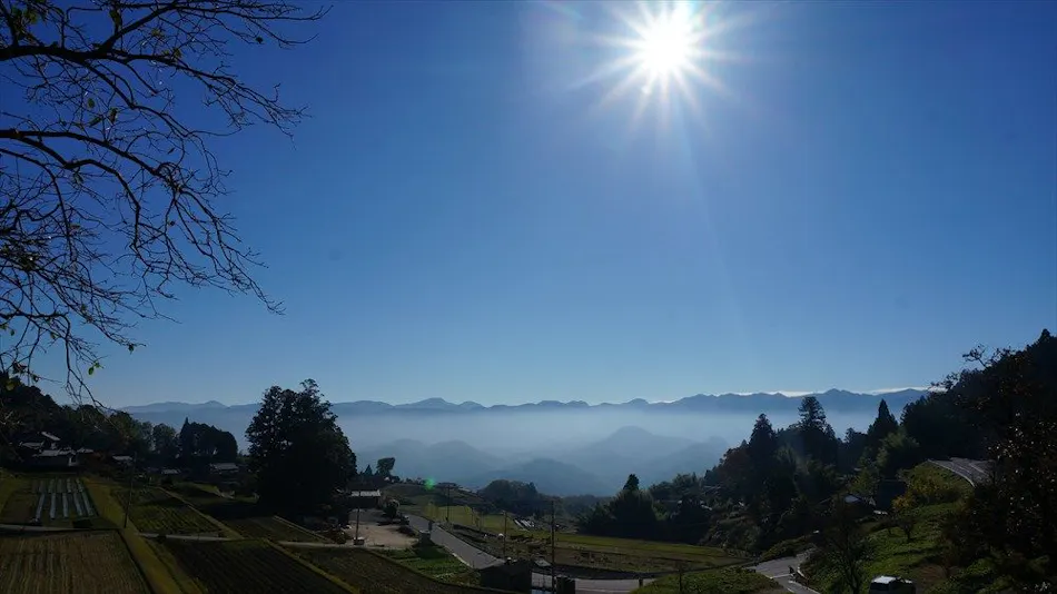 Sasayuri-Ann Zao