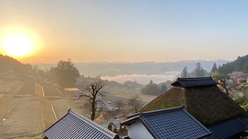 Sasayuri-Ann Zao