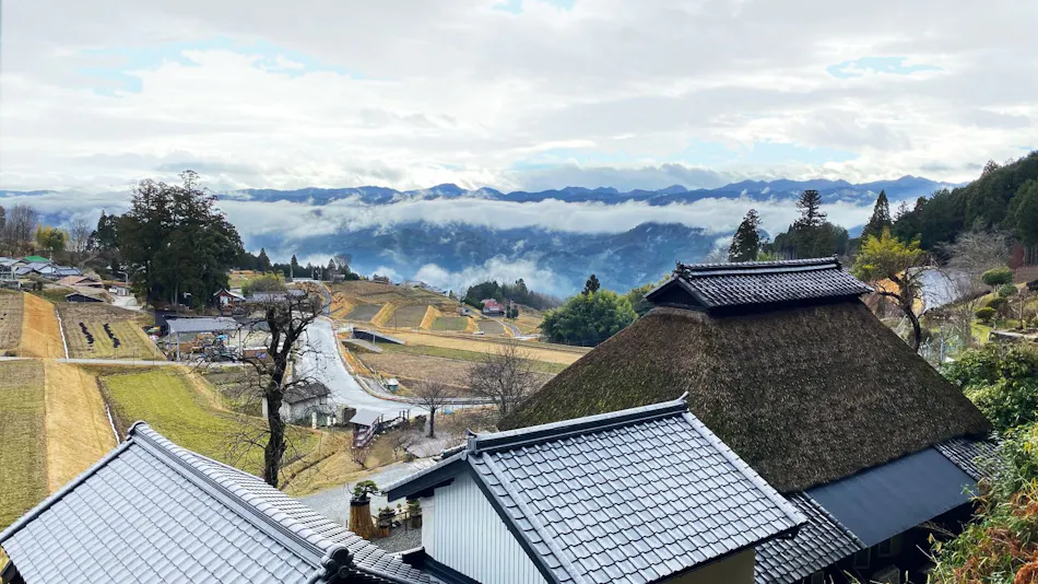 Sasayuri-Ann Zao