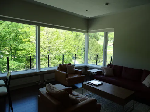 มองดูความเขียวขจีผ่านหน้าต่าง