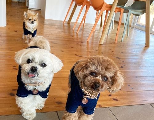 【OM-WORKS】中と外が繋がる縁側の家