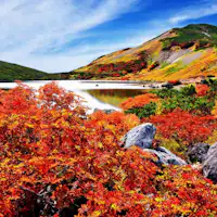 白馬村内の紅葉観光