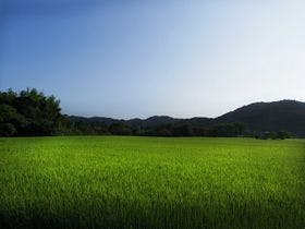 里の箱庭Lodge365