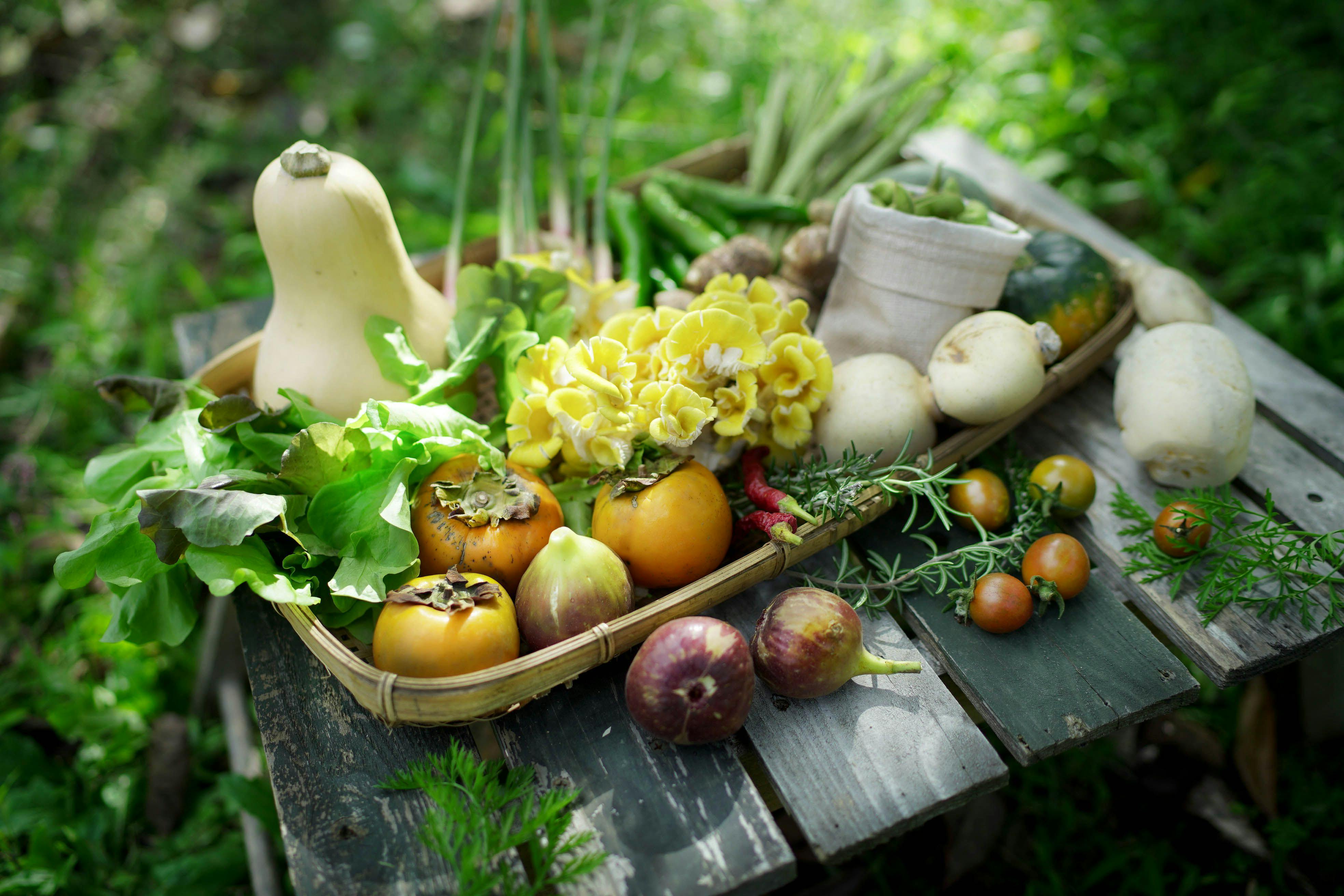 秋の採れたて野菜盛り合わせ。