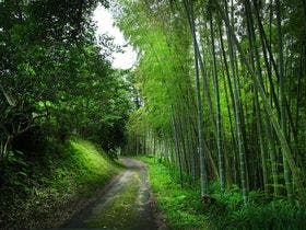 里の箱庭Lodge365