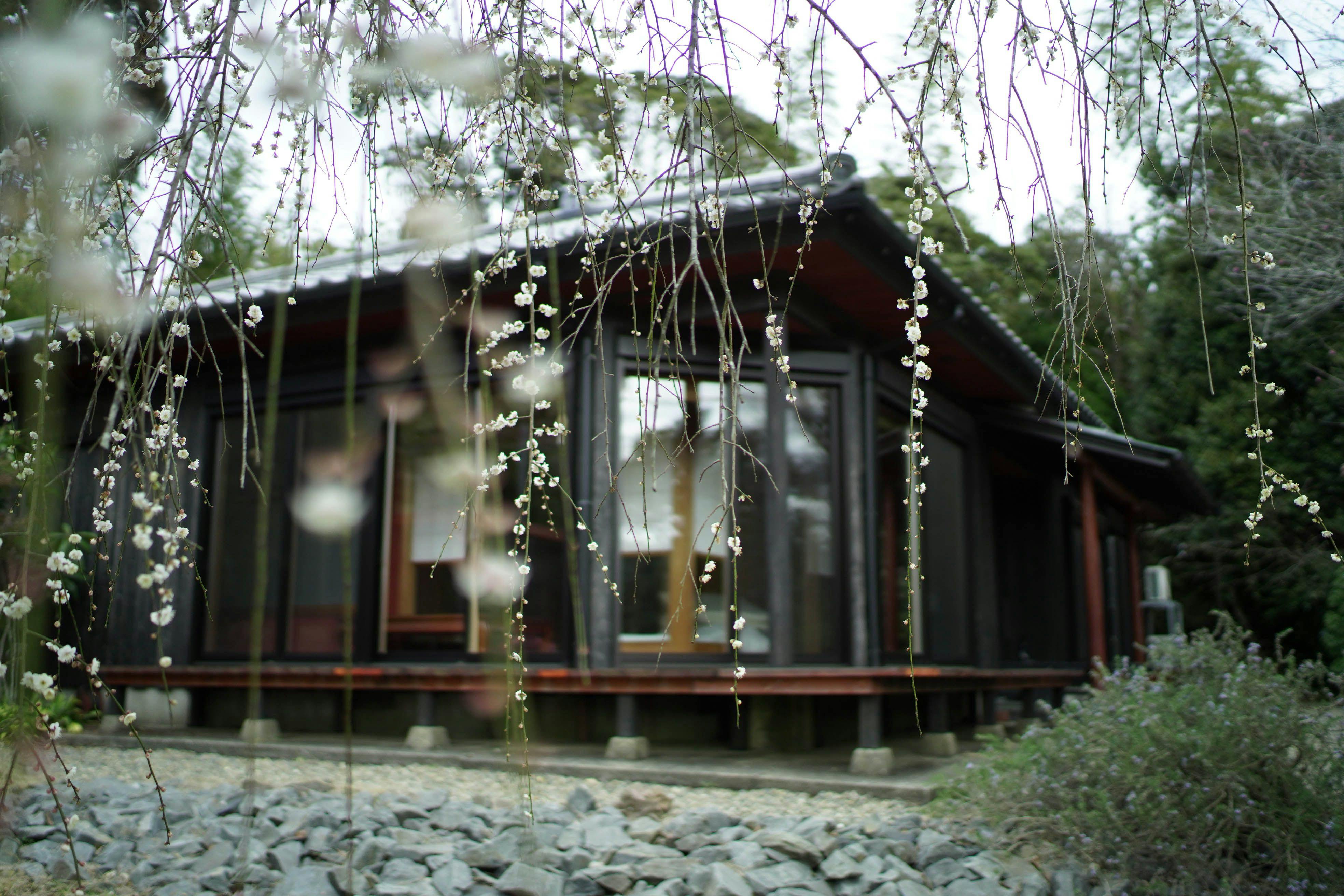 里の箱庭　Lodge365