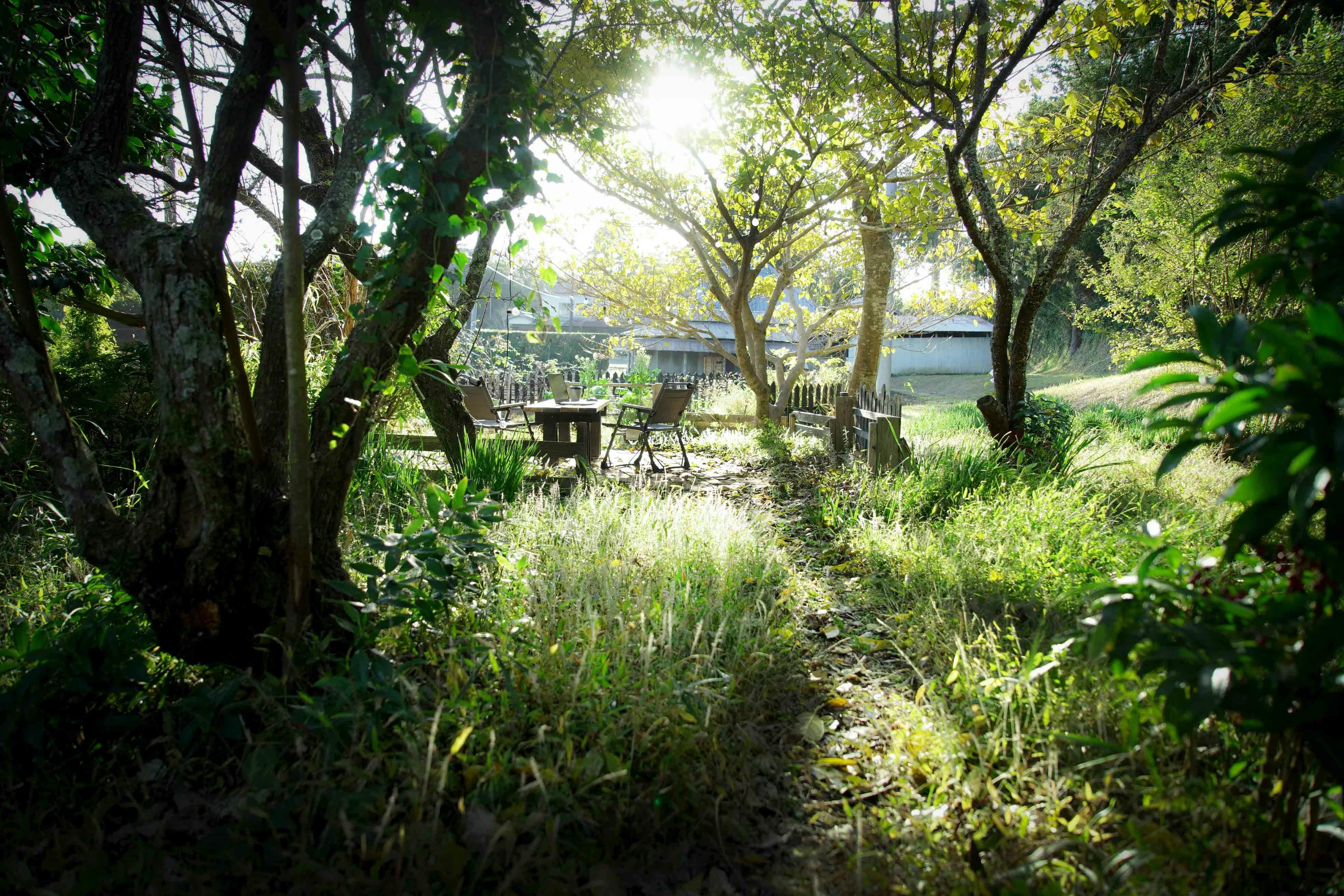 里の箱庭　Lodge365