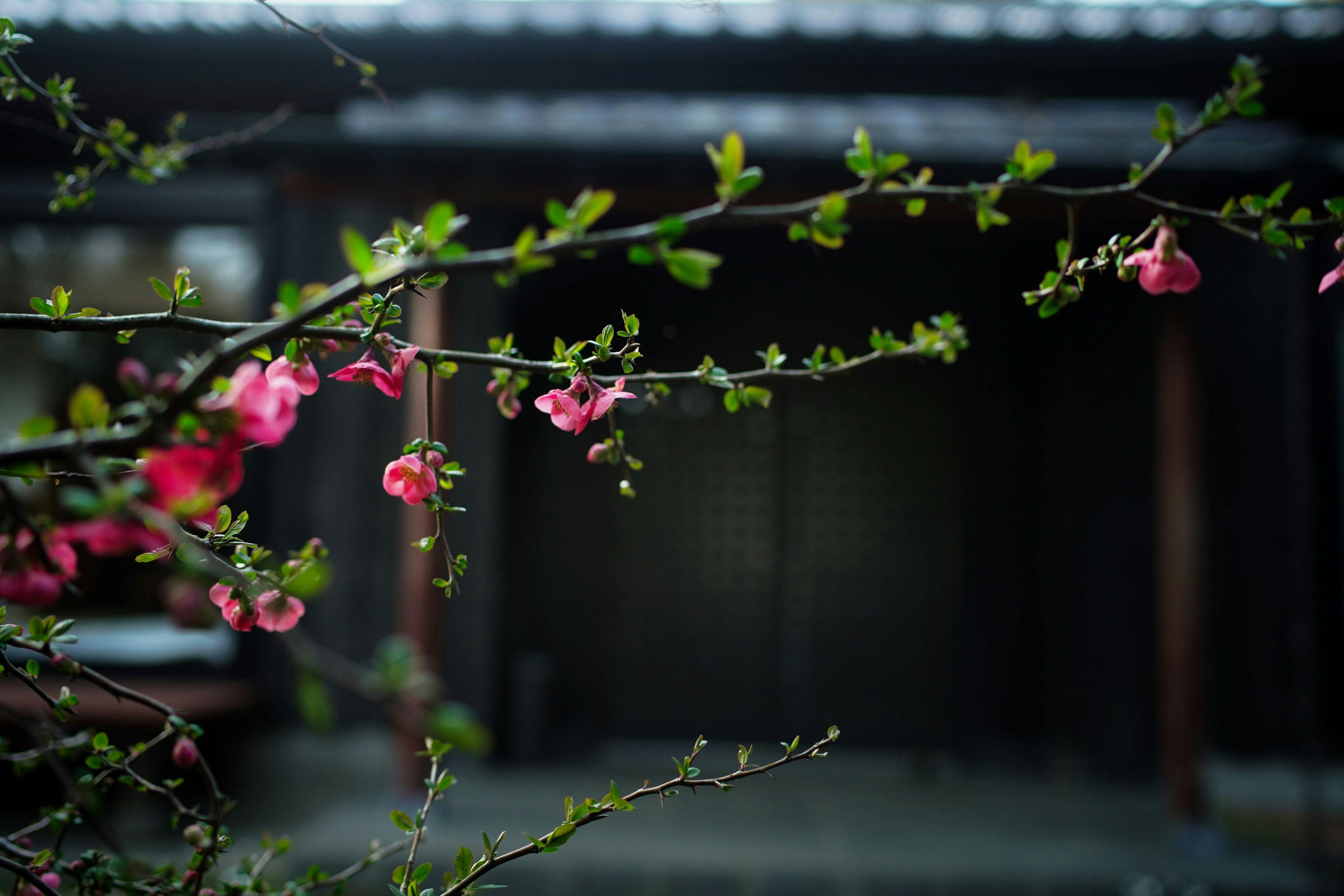 里の箱庭　Lodge365