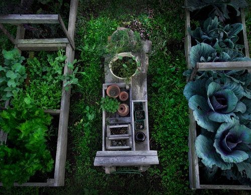 4月スタートの箱庭サラダガーデン。