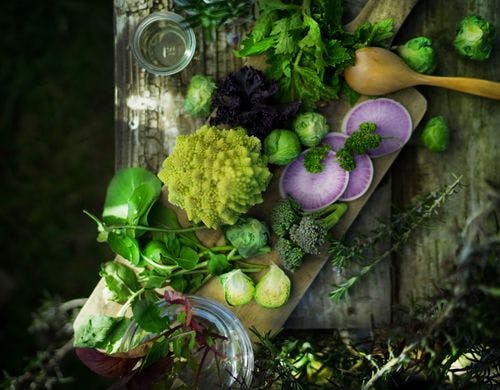 「箱庭サラダガーデン」収穫野菜でサラダ