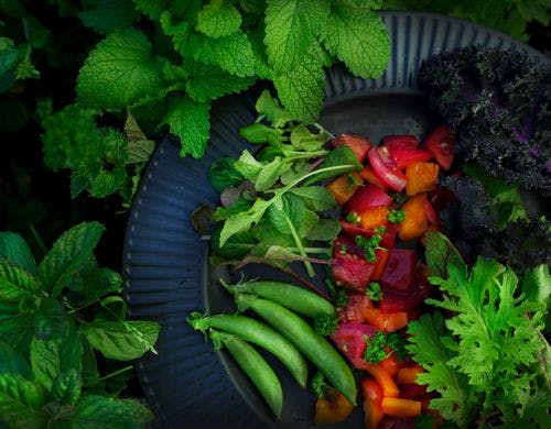 摘みながらお皿にデコレーション