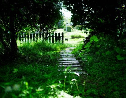 箱庭サラダガーデン。