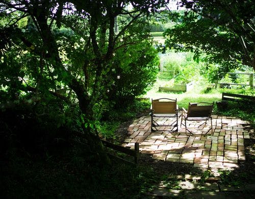 ひんやり木陰、緑のプライベートスペース