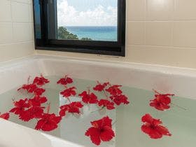 さちばるやーどぅい