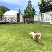 天然芝のドッグラン