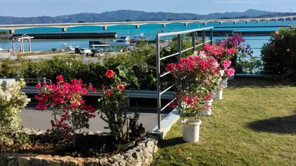 Oceanfront KouriStay