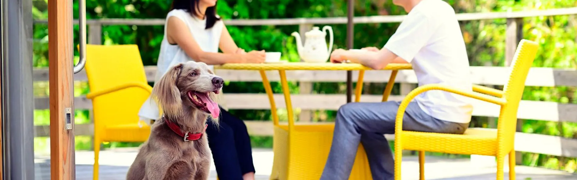 グランシャリオ北斗七星135°