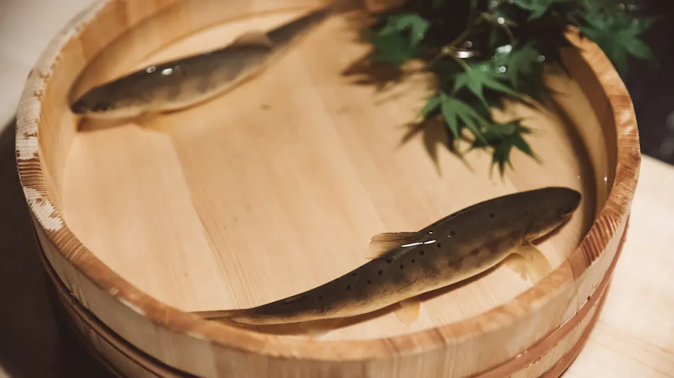 NIPPONIA Kosuge Genryu no Mura