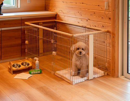 愛犬と快適な滞在を