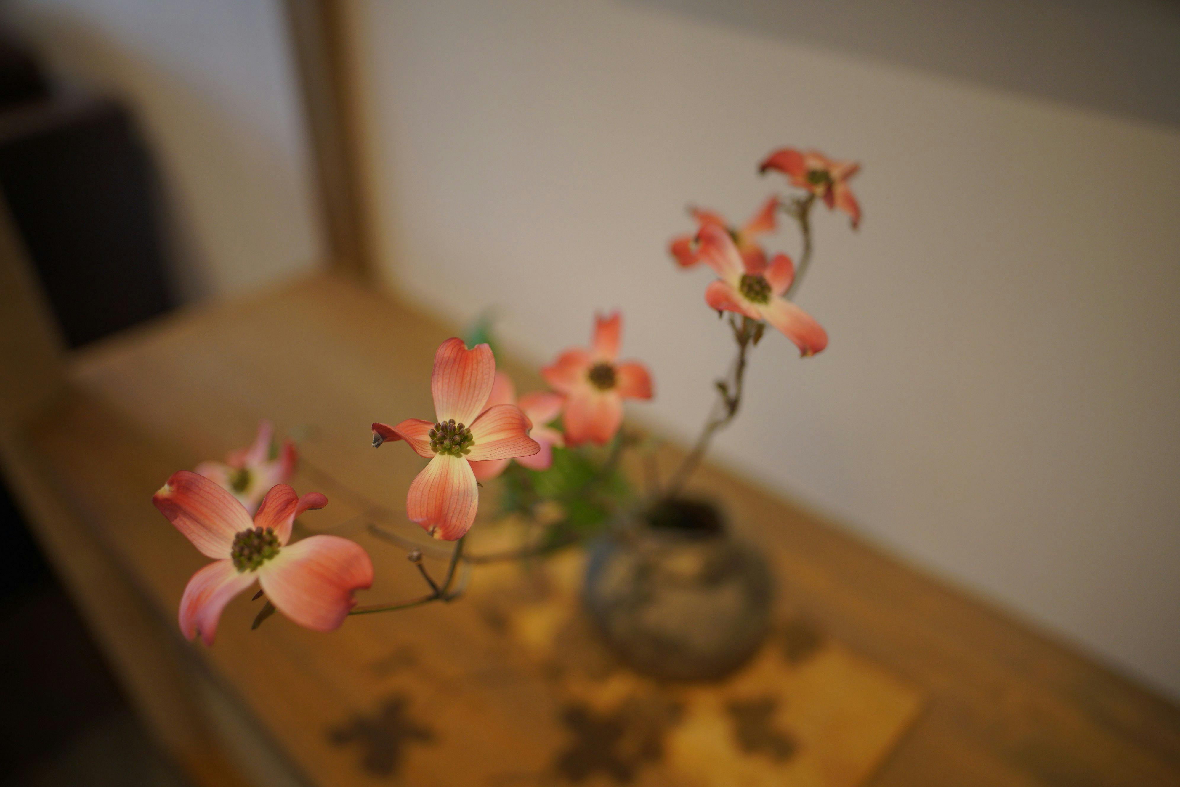 宮川町　ほとり
