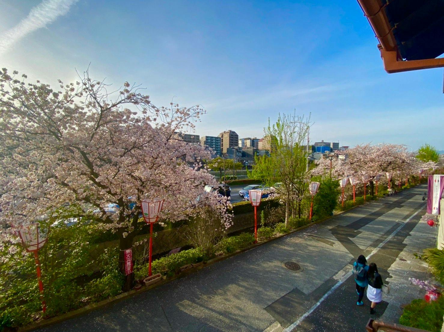 二階窓からの眺望