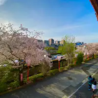 二階窓からの眺望