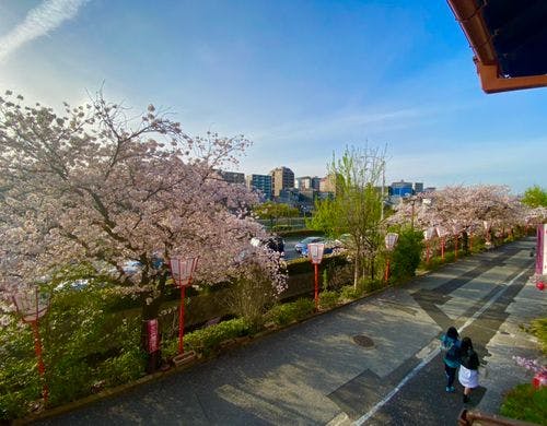 二階窓からの眺望