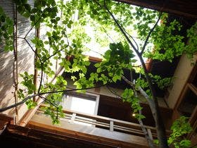 宮川町 ほとり