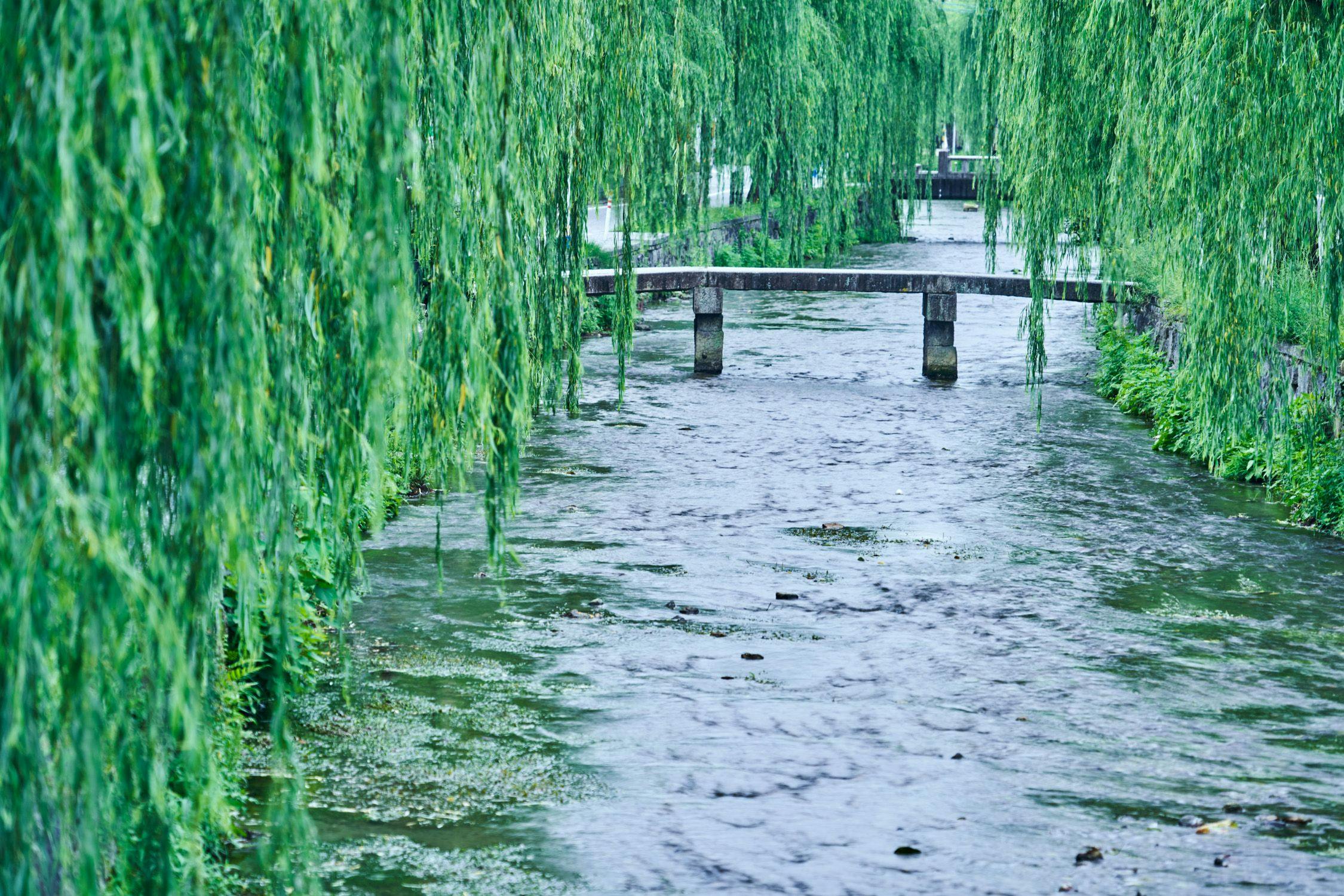 Sekitar dan pemandangan (Gambar)