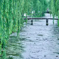 Sekitar dan pemandangan (Gambar)