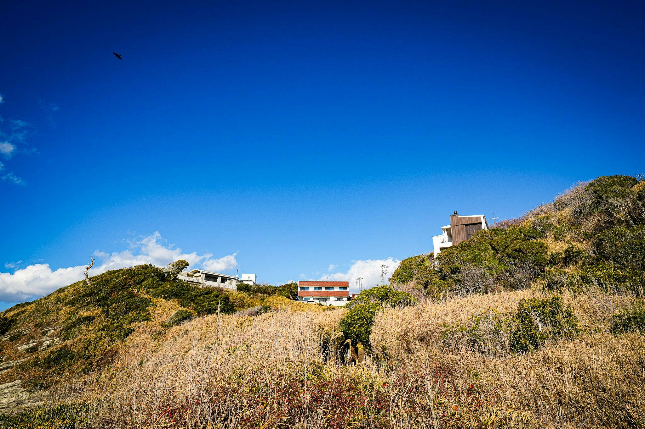 プライベートビーチから施設を望む