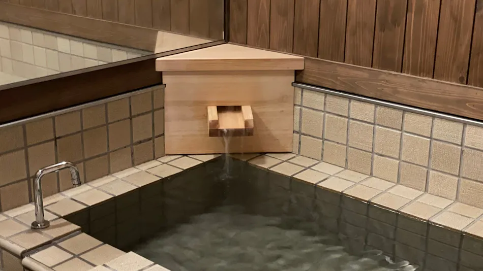 Iwaya Onsen Eshima Bettei Umi to Mori