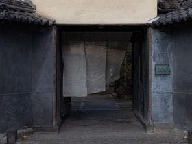 白藤