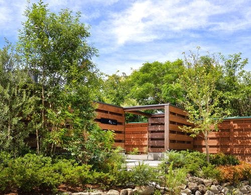 雫花アプローチ